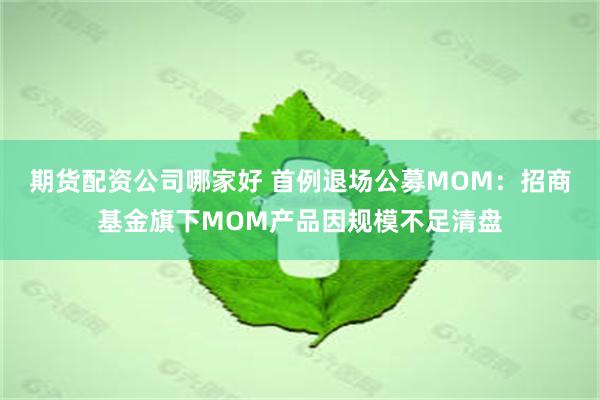 期货配资公司哪家好 首例退场公募MOM：招商基金旗下MOM产品因规模不足清盘