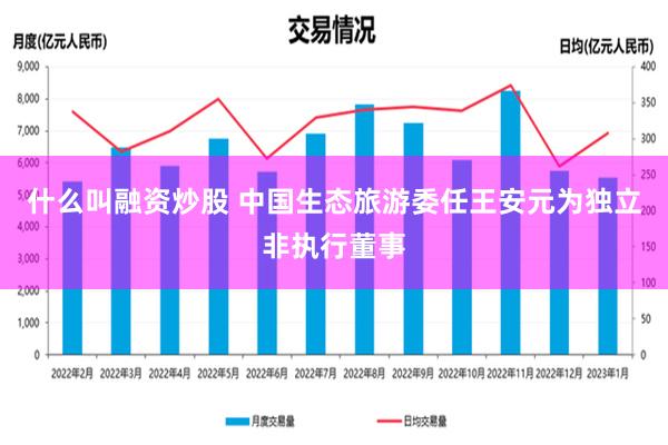 什么叫融资炒股 中国生态旅游委任王安元为独立非执行董事