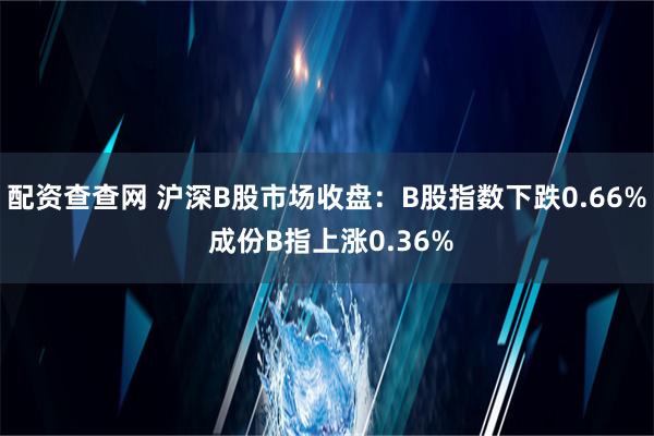 配资查查网 沪深B股市场收盘：B股指数下跌0.66% 成份B指上涨0.36%