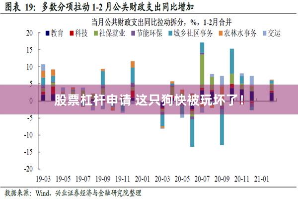 股票杠杆申请 这只狗快被玩坏了！