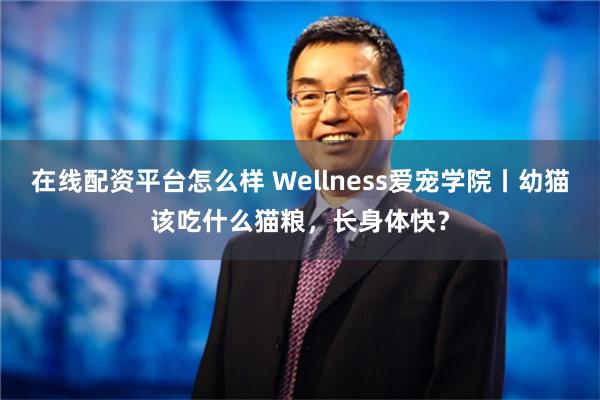 在线配资平台怎么样 Wellness爱宠学院丨幼猫该吃什么猫粮，长身体快？