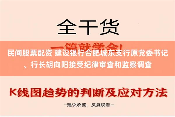 民间股票配资 建设银行合肥城东支行原党委书记、行长胡向阳接受纪律审查和监察调查