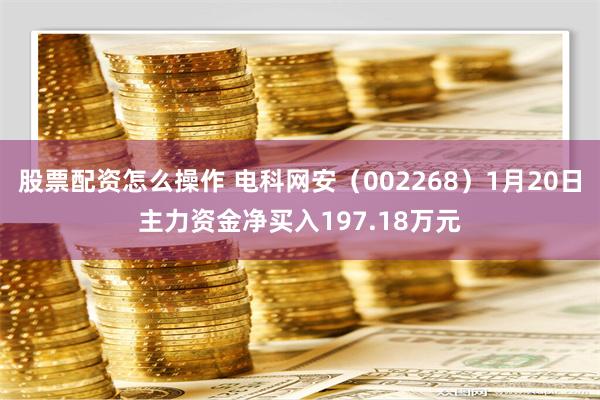 股票配资怎么操作 电科网安（002268）1月20日主力资金净买入197.18万元